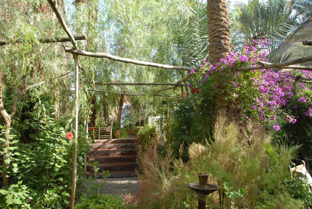Villa Zagora Ma Villa Au Sahara Exterior photo